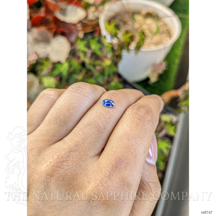 0.47 Ct. Blue Sapphire from Ceylon (Sri Lanka)