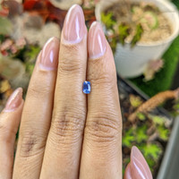 0.51 Ct. Blue Sapphire from Ceylon (Sri Lanka) Life Style