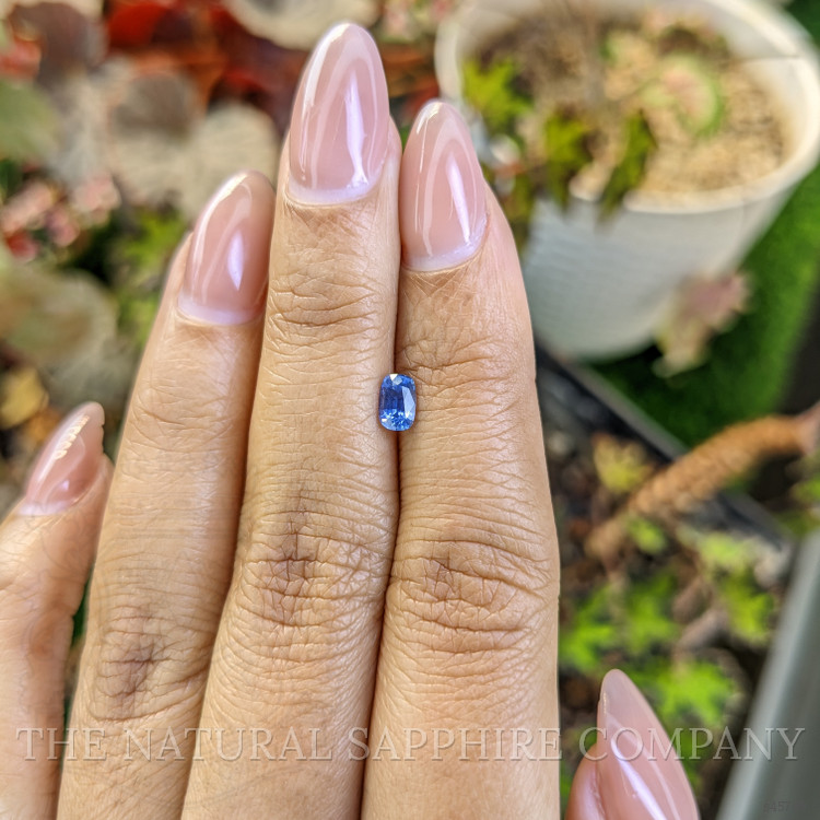 0.51 Ct. Blue Sapphire from Ceylon (Sri Lanka)