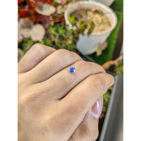 0.44 Ct. Blue Sapphire from Ceylon (Sri Lanka) Life Style