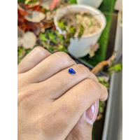 0.46 Ct. Blue Sapphire from Ceylon (Sri Lanka) Life Style