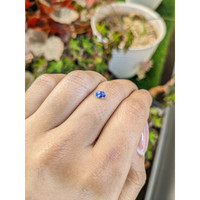 0.37 Ct. Violet Sapphire from Ceylon (Sri Lanka) Life Style