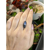 8.13 Ct. Blue Sapphire from Ceylon (Sri Lanka) Life Style