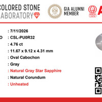 4.76 Ct. Grey Cabochon Star Sapphire from Ceylon (Sri Lanka) Pdf