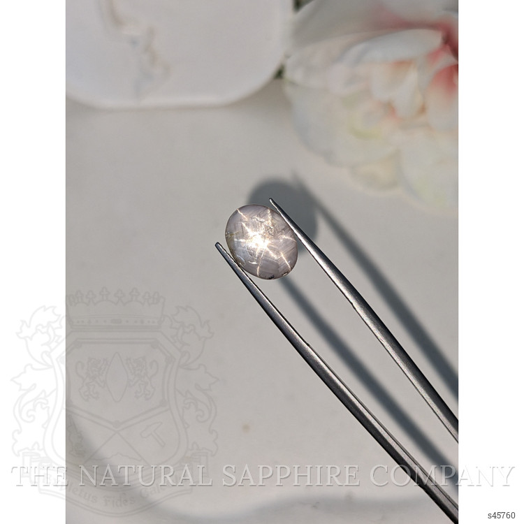 4.76 Ct. Grey Cabochon Star Sapphire from Ceylon (Sri Lanka)