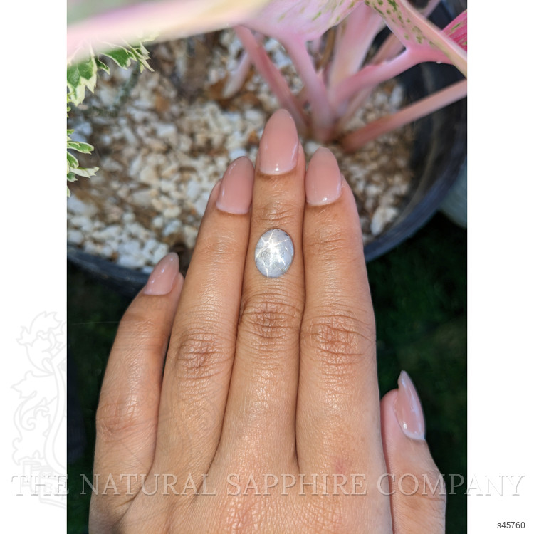 4.76 Ct. Grey Cabochon Star Sapphire from Ceylon (Sri Lanka)