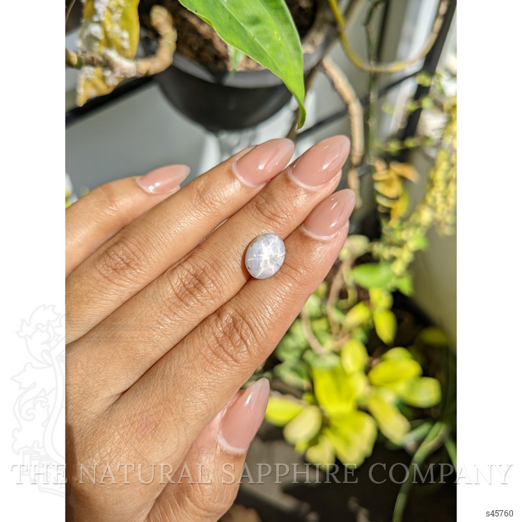 4.76 Ct. Grey Cabochon Star Sapphire from Ceylon (Sri Lanka)