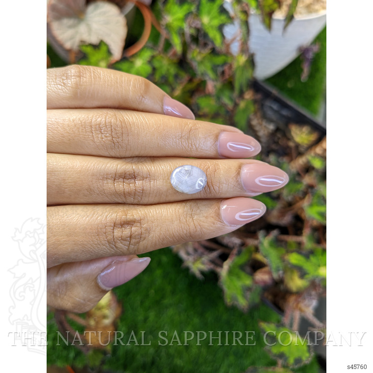 4.76 Ct. Grey Cabochon Star Sapphire from Ceylon (Sri Lanka)