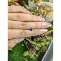 0.71 Ct. Blue Sapphire from Ceylon (Sri Lanka) Life Style