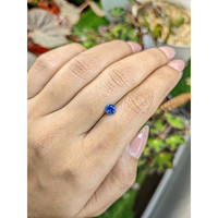 0.59 Ct. Blue Sapphire from Ceylon (Sri Lanka) Life Style