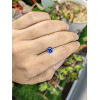 1.02 Ct. Blue Sapphire from Ceylon (Sri Lanka) Life Style