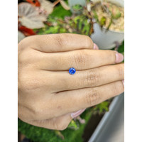 0.61 Ct. Blue Sapphire from Ceylon (Sri Lanka) Life Style