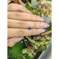 0.61 Ct. Blue Sapphire from Ceylon (Sri Lanka) Life Style