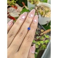 0.61 Ct. Blue Sapphire from Ceylon (Sri Lanka) Life Style
