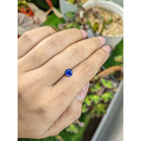 0.93 Ct. Blue Sapphire from Ceylon (Sri Lanka) Life Style