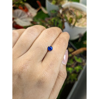 0.76 Ct. Blue Sapphire from Ceylon (Sri Lanka) Life Style