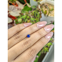 0.76 Ct. Blue Sapphire from Ceylon (Sri Lanka) Life Style