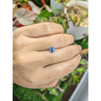 1.00 Ct. Blue Sapphire from Ceylon (Sri Lanka) Life Style