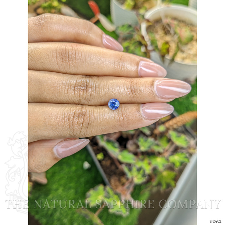 1.00 Ct. Blue Sapphire from Ceylon (Sri Lanka)