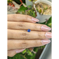 0.74 Ct. Blue Sapphire from Ceylon (Sri Lanka) Life Style