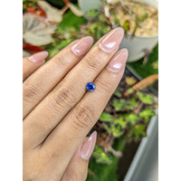 0.74 Ct. Blue Sapphire from Ceylon (Sri Lanka) Life Style