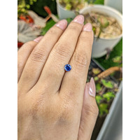 0.74 Ct. Blue Sapphire from Ceylon (Sri Lanka) Life Style