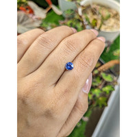 0.87 Ct. Blue Sapphire from Ceylon (Sri Lanka) Life Style