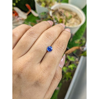 0.97 Ct. Blue Sapphire from Ceylon (Sri Lanka) Life Style