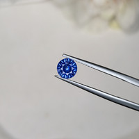 0.97 Ct. Blue Sapphire from Ceylon (Sri Lanka) Life Style