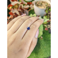 1.13 Ct. Blue Sapphire from Ceylon (Sri Lanka) Life Style