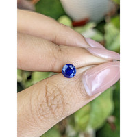 0.80 Ct. Blue Sapphire from Ceylon (Sri Lanka) Life Style