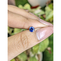 0.62 Ct. Blue Sapphire from Ceylon (Sri Lanka) Life Style