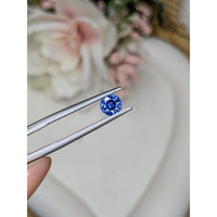 0.73 Ct. Blue Sapphire from Ceylon (Sri Lanka) Life Style