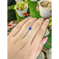 0.66 Ct. Blue Sapphire from Ceylon (Sri Lanka) Life Style