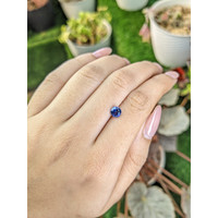 0.99 Ct. Blue Sapphire from Ceylon (Sri Lanka) Life Style