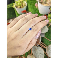 0.58 Ct. Blue Sapphire from Ceylon (Sri Lanka) Life Style
