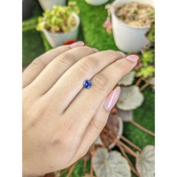 0.70 Ct. Blue Sapphire from Ceylon (Sri Lanka) Life Style