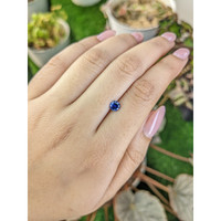 0.56 Ct. Blue Sapphire from Ceylon (Sri Lanka) Life Style