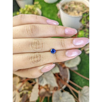0.77 Ct. Blue Sapphire from Ceylon (Sri Lanka) Life Style