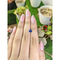 0.76 Ct. Blue Sapphire from Ceylon (Sri Lanka) Life Style