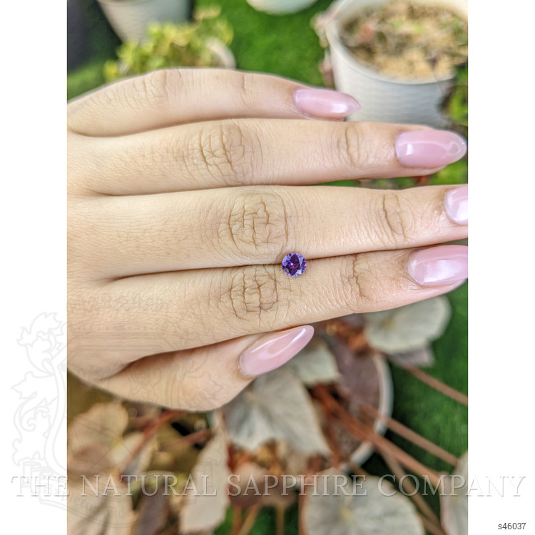0.53 Ct. Purple Sapphire from Ceylon (Sri Lanka)
