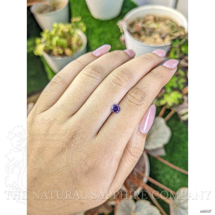 0.53 Ct. Purple Sapphire from Ceylon (Sri Lanka)