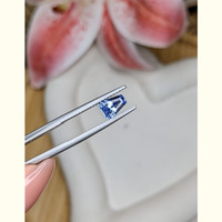 1.09 Ct. Blue Sapphire from Ceylon (Sri Lanka) Life Style
