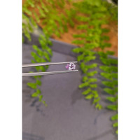 0.80 Ct. Pink Sapphire from Ceylon (Sri Lanka) Life Style