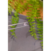 0.75 Ct. Pink Sapphire from Ceylon (Sri Lanka) Life Style