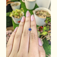 0.88 Ct. Blue Sapphire from Ceylon (Sri Lanka) Life Style