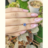 1.18 Ct. Blue Sapphire from Ceylon (Sri Lanka) Life Style
