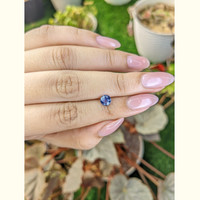 0.82 Ct. Blue Sapphire from Ceylon (Sri Lanka) Life Style