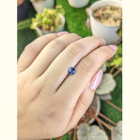 0.82 Ct. Blue Sapphire from Ceylon (Sri Lanka) Life Style