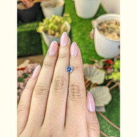 1.16 Ct. Blue Sapphire from Ceylon (Sri Lanka) Life Style